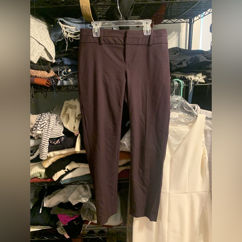 Plum purple Calvin Klein dress pants